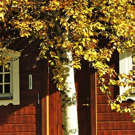 Cottage On Wild River In Lapland/Sweden Karlsten Kültér fotó